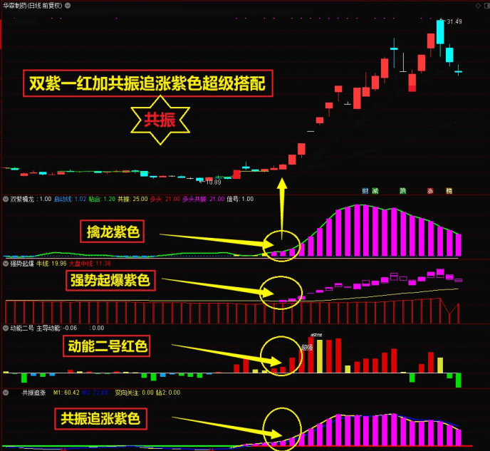 通达信【2025双紫擒龙】新版主副图/选股 紫紫红黄 主力吸筹 手机电脑适用 源码文件分享